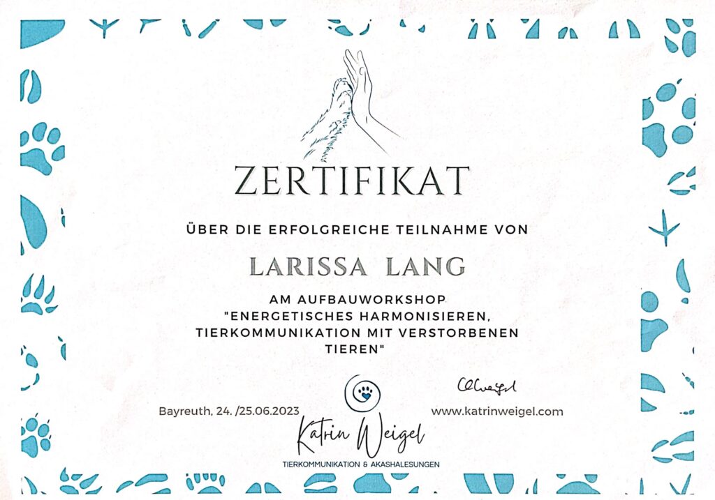 Tiekommunikation Aufbau Kurs Zertifikat