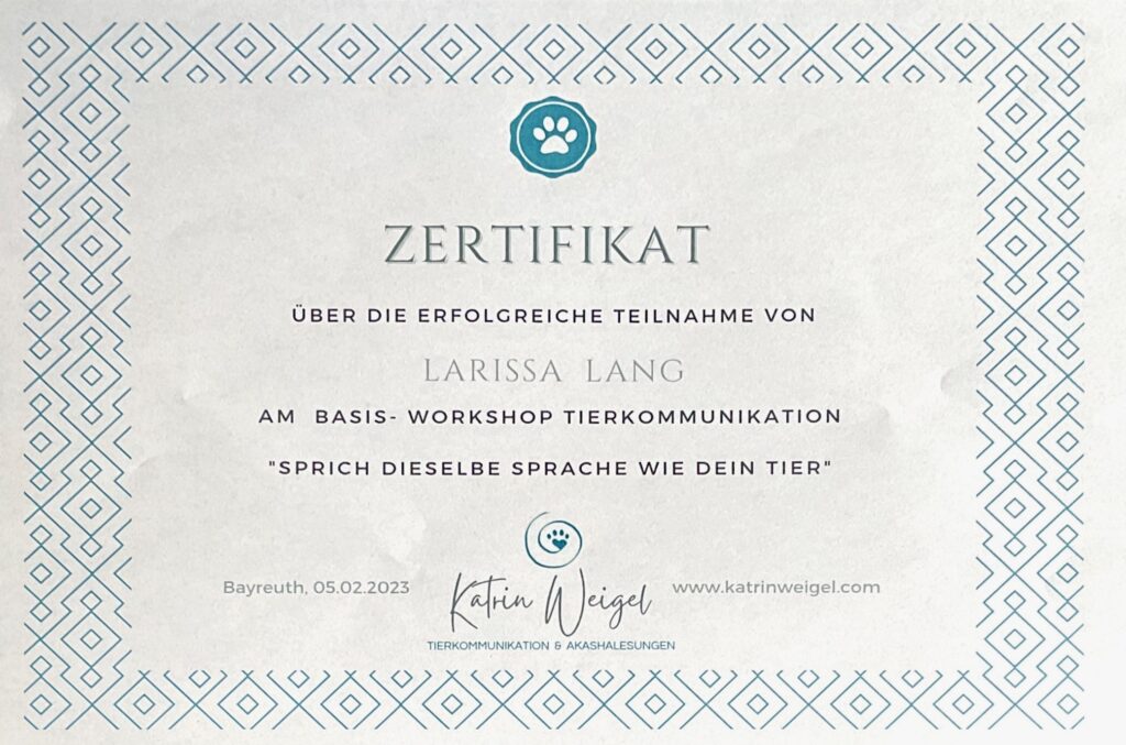 Tiekommunikation Basis Kurs Zertifikat